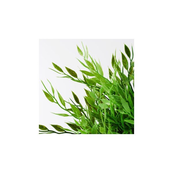 برگ سبز ایکیا FEJKA - تصویر 5