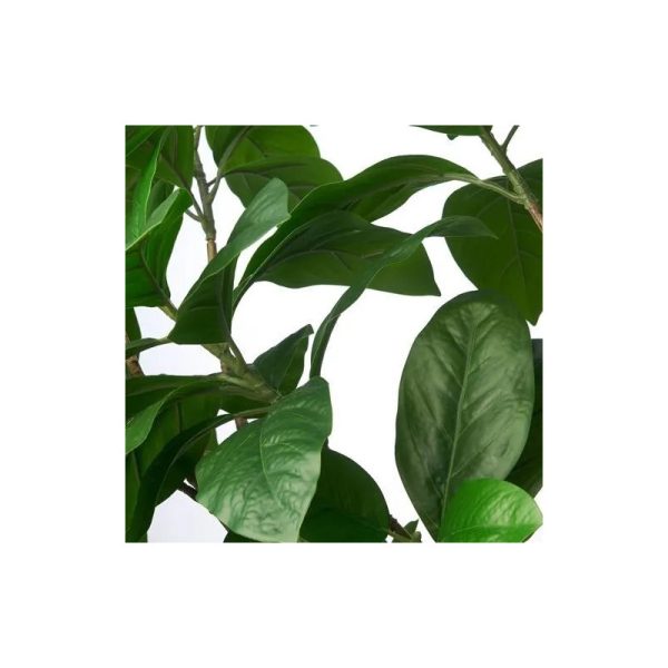 درختچه لیراتا FEJKA - تصویر 5