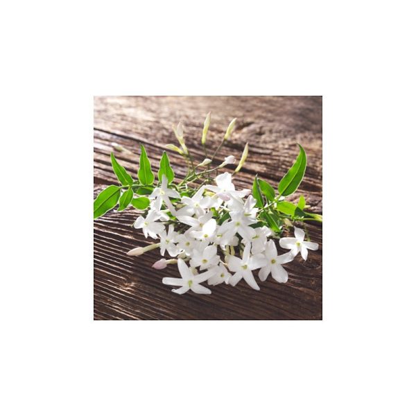 ست شمع معطر گل دار طوسی ایکیا KORNIG - Image 5