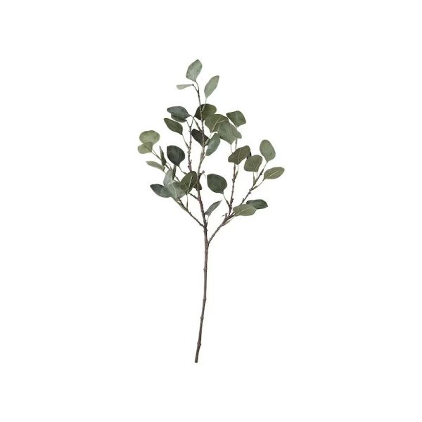 شاخه اکالیپتوس SMYCKA - Image 5