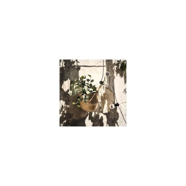 شاخه اکالیپتوس SMYCKA - Image 6