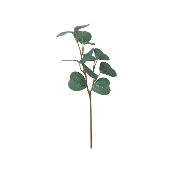 شاخه اکالیپتوس کوچک SMYCKA - Image 6