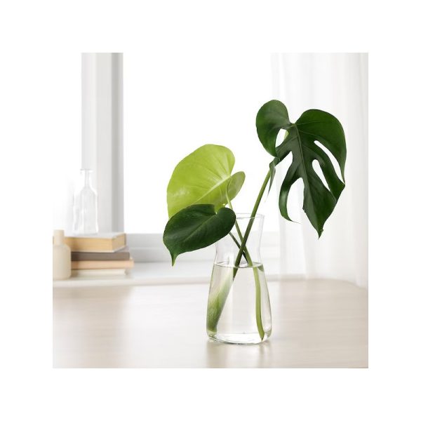 گلدان شیشه ای ایکیا KARAFF - تصویر 5