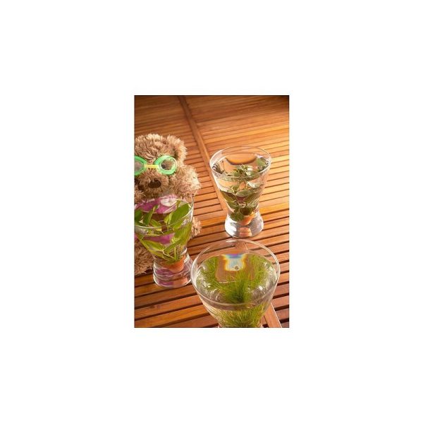 گلدان شیشه ای ایکیا VASEN - تصویر 5